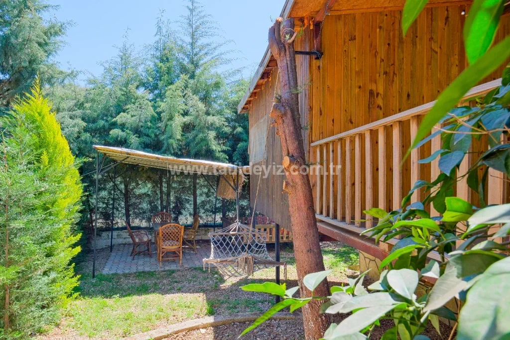 Bungalov Avokado 2